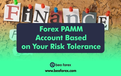 The Right Forex PAMM Account Based on Your Risk Tolerance