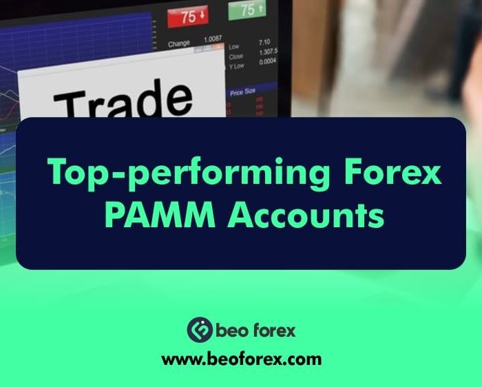 Top-performing Forex PAMM Accounts