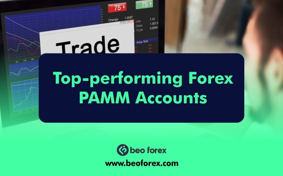 Top-performing Forex PAMM Accounts