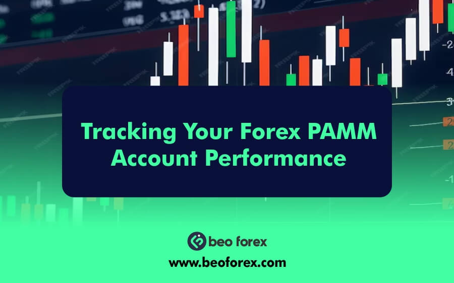 Tracking Your Forex PAMM Account Performance