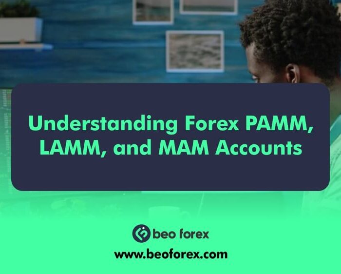 Understanding Forex PAMM, LAMM, and MAM Accounts