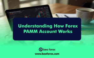 Understanding How Forex PAMM Account Works