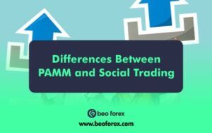 What Are the Key Differences Between PAMM and Social Trading