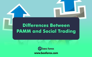 What Are the Key Differences Between PAMM and Social Trading