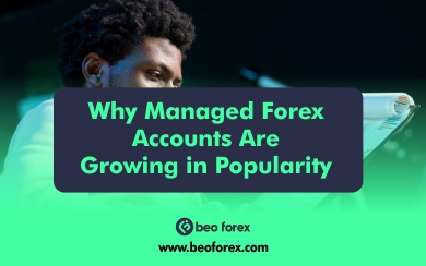 Why Managed Forex Accounts Are Growing in Popularity