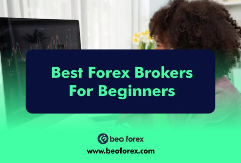 Best Forex Brokers For Beginners