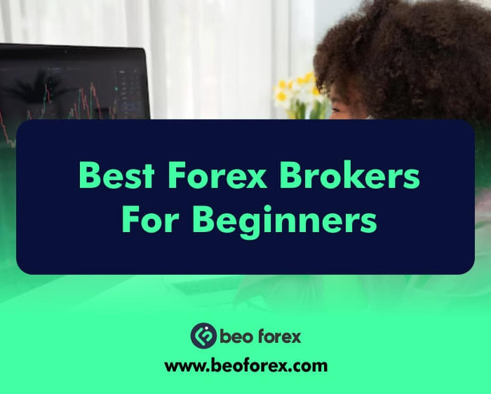 Best Forex Brokers For Beginners