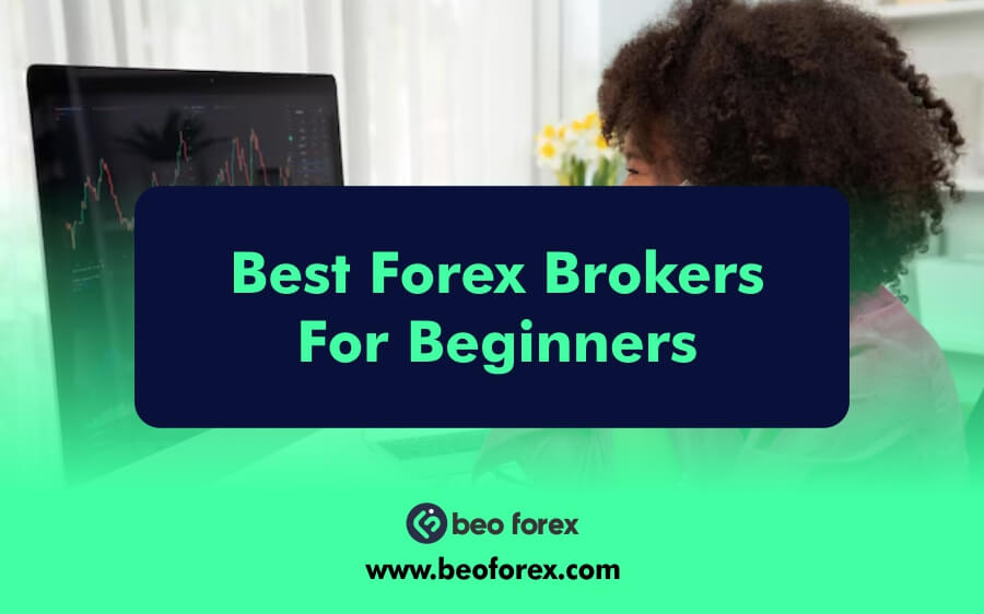 Best Forex Brokers For Beginners