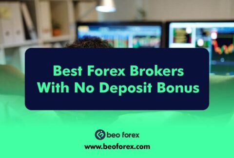 Best Forex Brokers With No Deposit Bonus