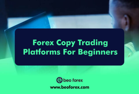 Forex Copy Trading Platforms For Beginners