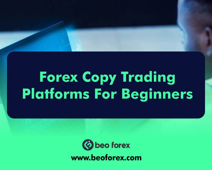 Forex Copy Trading Platforms For Beginners