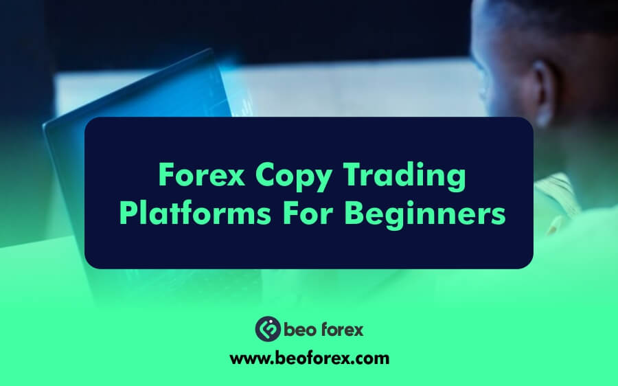 Forex Copy Trading Platforms For Beginners