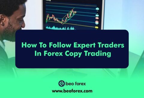 How To Follow Expert Traders In Forex Copy Trading