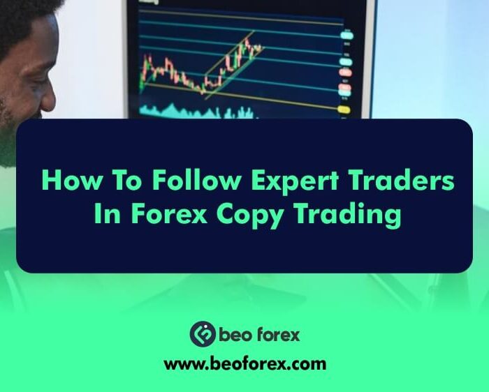 How To Follow Expert Traders In Forex Copy Trading