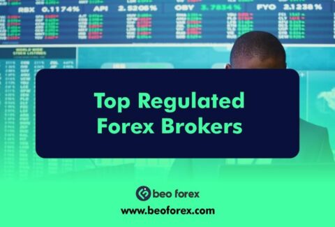 Top Regulated Forex Brokers