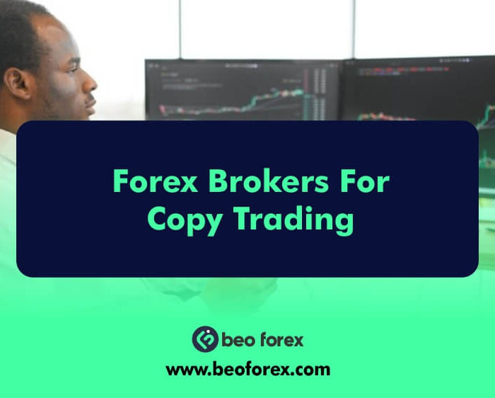 Forex Brokers For Copy Trading